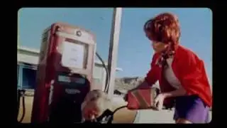 the eco-angels 
