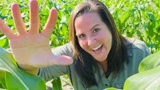 5 EASY Gardening Tips To Help You Start Your Garden!