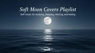 Soft Moon Covers Playlist 🌙 Soft music for studying, sleeping, relaxing and feeling
