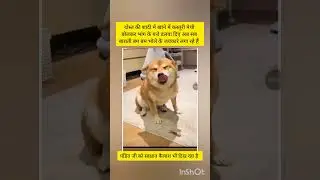 shadi me dogesh Bhai #ekmotahathi#funnyfunnyshorts #trending#comedy#cartoon#popular #viral#fun#meme