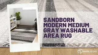 Sandborn Modern Medium Gray Washable Area Rug