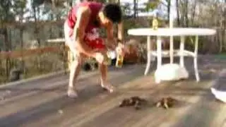 lobster racing