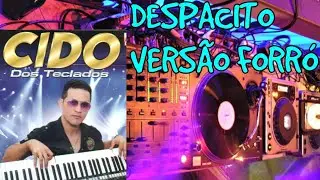DESPACITO VERS&Atilde;O FORR&Oacute; REMIX
