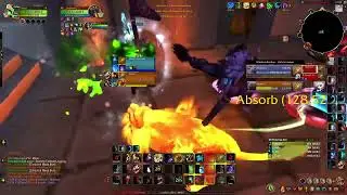 Double Dps Feral Mage with Mnzs