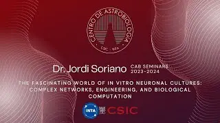 The fascinating world of in vitro neuronal cultures - Jordi Soriano