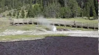 Yellowstone  - Lower Geyser Basin