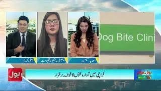 Stray Dog Att*ck Increasing | Thousands Of Citizens Injured | Dunya Bol Hai