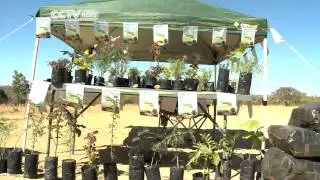 Zimbabwe Forest Policy Launched to Tame Deforestation