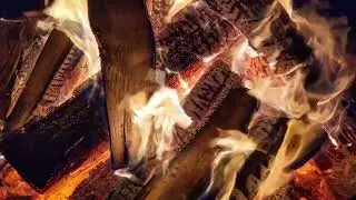 Soak in Psalm 119 (NIV) [With Relaxing Rain Music]