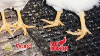 2' x 4' Poultry Plastic Flooring that Optimizes Bird Performance