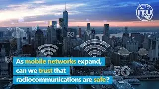 International standards for EMF safety