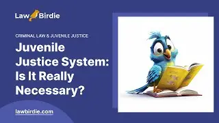 Juvenile Justice System: Is It Really Necessary? - Essay Example