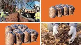 Richmond Leaf Collection Program