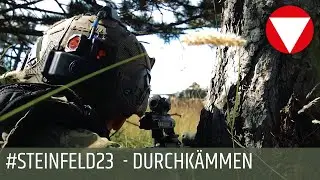 Die #STEINFELD23  - Durchk&auml;mmen eines Waldst&uuml;cks