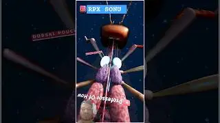 Termites (दीमक) Blast क्यों होती है? - By Kishor Singh #shorts #amazingfacts #motivation #trending