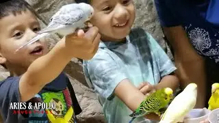 Bird Encounter At Houston Interactive Aquarium and Animal Adventure | ARIES & APOLLO Adventures