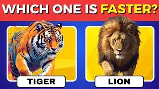 Только 1% может пройти эту викторину о животных 🦁 | Проверьте свои знания!