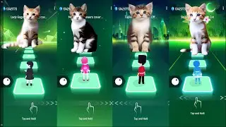 Tiles hop EDM rush cute cats VS