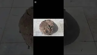 ASMR, I cleaned the dirty helmet. Satisfying carpet, Rugcleaning videos