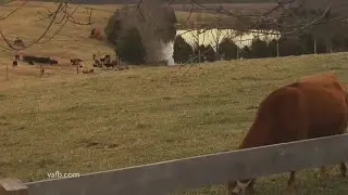 Farm Focus Preventing - Soil Erosion