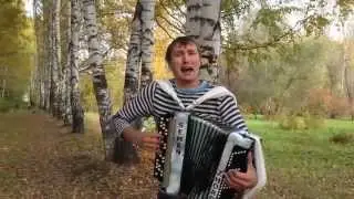 18 берёз - на баяне