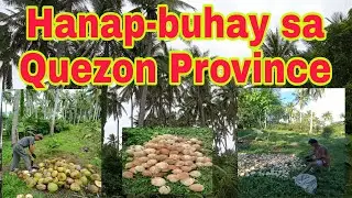 Hanap-buhay sa Quezon Province||Kagala Leland Vlog