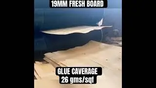 Glue Caverage for block board #plywood #knowledge #shorts #doors #plyboard #board #blockboard #tips