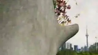 My T.O. ~ Bloom Boom!  Dir: Jesse Ewles