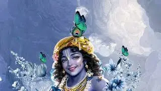 Koi Jaye job vrindavan Mera begum le gana #bhajan #radheshyambhajan #radhakrishna 