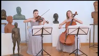 Can't Help Falling in Love - Elvis Presley Violin & Cello Cover