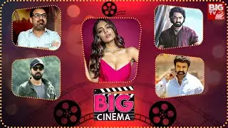 Big Cinema Exclusive Updates | Tollywood To Bollywood | Latest Movie Updates | BIG TV ET