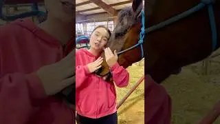 Who&rsquo;s Nicer? Old Vs Younger Horses! 🐴