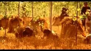 Vieni o Maggio - Pardo Fornaciari