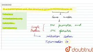 In a transcription unit, the structural gene is monocistronic, In | 12 | TEST 2 | BIOLOGY | AAKA...