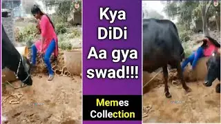 Memes Compilation| try not to laugh | Dank memes #v4viral