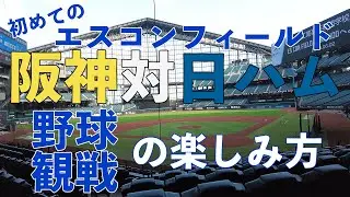 【全国球場めぐりの旅】ファイターズvs阪神タイガース ～ビジターにも優しい神スタジアム体験