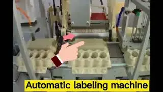 Egg carton cold glue labeling machine Automatic suction paper plug tray custom labeler