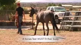 PRECISION BALANCE TRIMMING