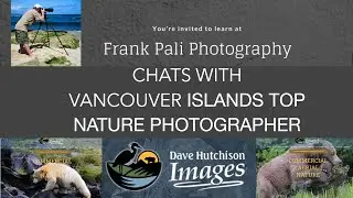 Frank Pali Photography CHATS WITH DAVE HUTCHISON 