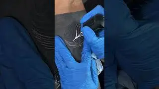 Black TattooTime Lapse | Black And White Tattoo Time Lapse, Black Tattoo(By Artist: jessimanchester)