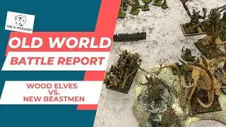 Old World Battle Report: Wood Elves vs New Beastmen