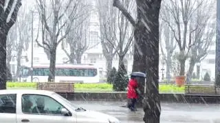 Lyon Sous la neige 2016(9)
