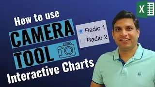 Interactive Charts in Excel | Camera Tool | Option Buttons | Choose Function