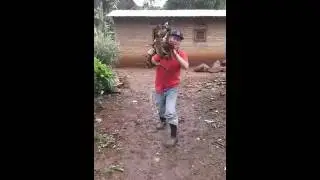 Ultima generaci&oacute;n en c&aacute;maras de video.