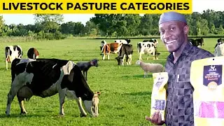 How to Keep Your Animals Healthy Through Feeds | Best Pastures | 2024