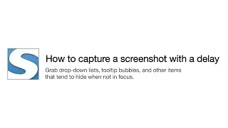 How to capture a delayed screenshot with FireShot.