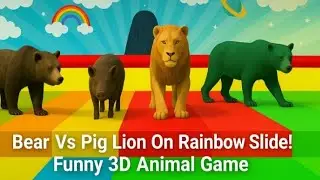 🐻Bear Vs Pig Lion On Rainbow Slide! 😱 | Funny 3d Animal Game ||