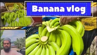 Banana vlog end lazmi dekhna haji Sabih master talha