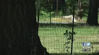 Some Dorena residents concerned for their safety after alleged assault