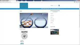 Tutorial Slider Magento